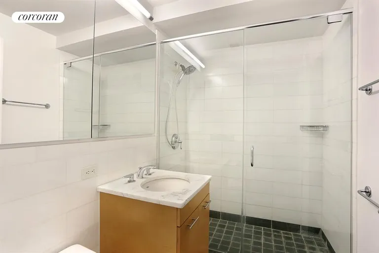 New York City Real Estate | View 230 Ashland Place, 28D | Master Bathroom | View 4