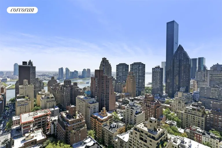 New York City Real Estate | View 310 East 53rd Street, 28A | View | View 8
