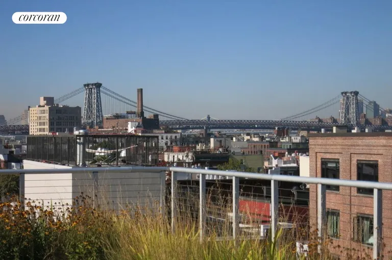 New York City Real Estate | View 125 North 10th Street, S4D | View of WB Bridge from the private cabana | View 7