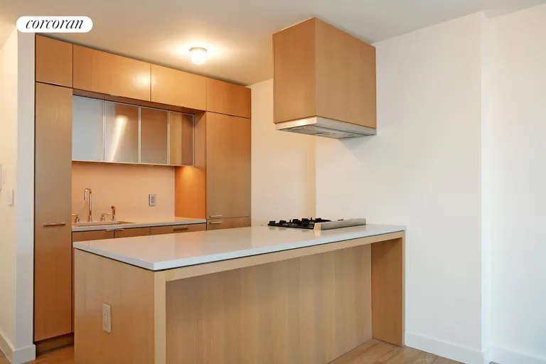 New York City Real Estate | View 225 Rector Place, 11H | Kitchen | View 16