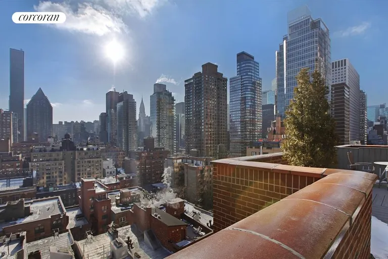 New York City Real Estate | View 333 East 55th Street, 4FG | Roof-Top Terrace with panoramic views | View 6