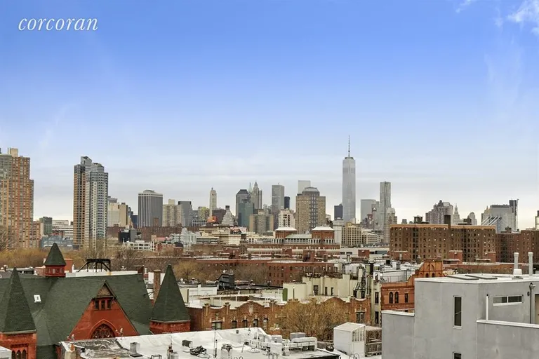 New York City Real Estate | View 174 Vanderbilt Avenue, 107 | View From Roof Deck | View 7