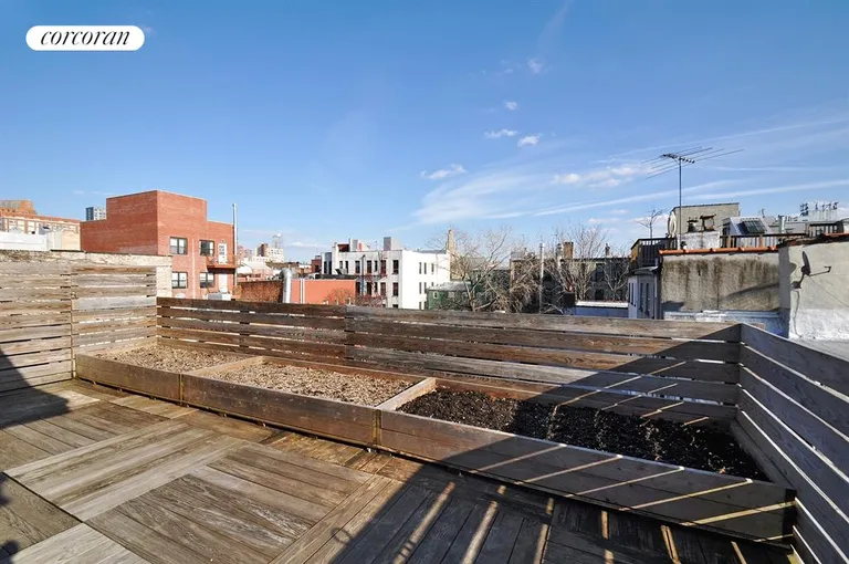 New York City Real Estate | View 53 Wyckoff Street | Terrace | View 5