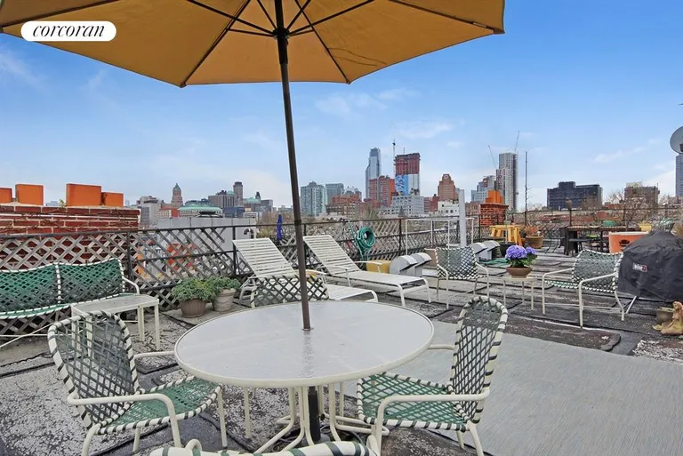 New York City Real Estate | View 260 Bergen Street, 4R | Roof Deck | View 4