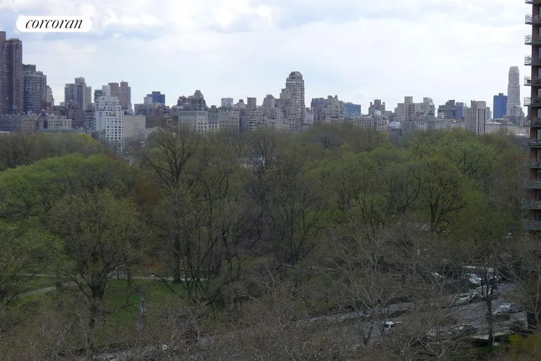 New York City Real Estate | View 400 Central Park West, 11C | Central Park View! | View 3