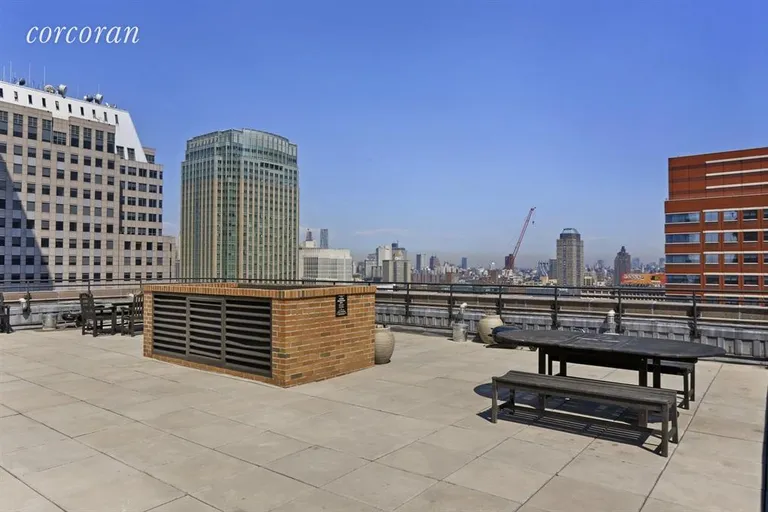 New York City Real Estate | View 365 Bridge Street, 5K | Roof Deck | View 11