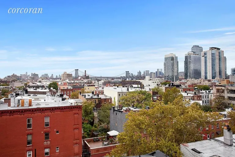 New York City Real Estate | View 72 Berry Street, 3E | View from Common Terrace | View 8
