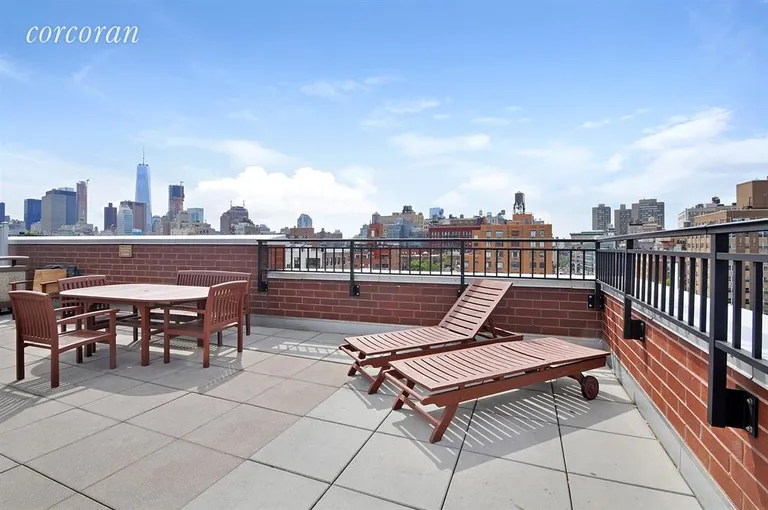 New York City Real Estate | View 229 Chrystie Street, 1406 | Terrace | View 7
