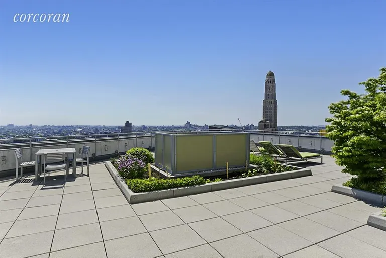New York City Real Estate | View 230 Ashland Place, 23C | Common Roof Deck | View 11