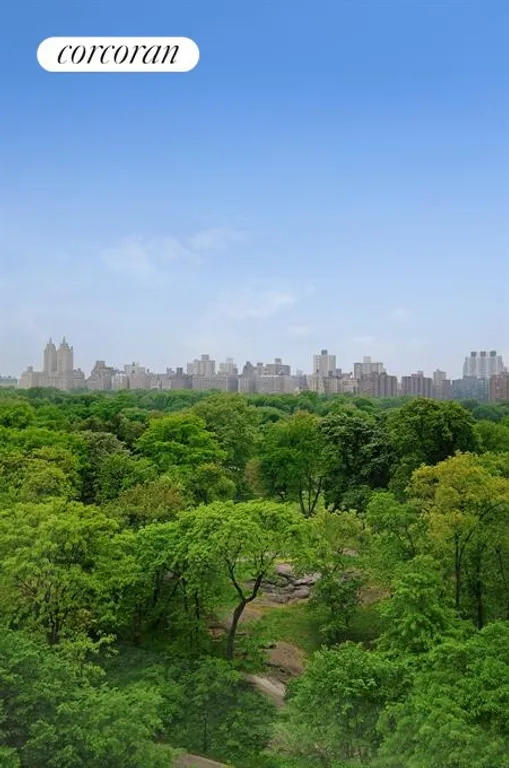 New York City Real Estate | View 1212 Fifth Avenue, 12BC | Endless Views | View 10