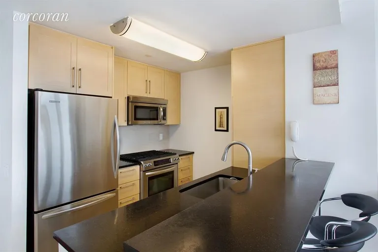 New York City Real Estate | View 415 Main Street, 8E | room 5 | View 6