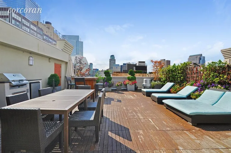 New York City Real Estate | View 25 Murray Street, 7H | Roof | View 6