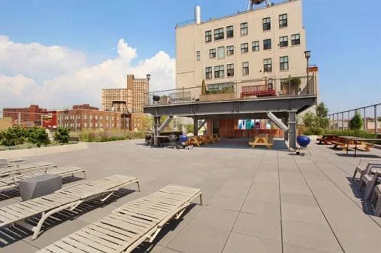 New York City Real Estate | View 535 Dean Street, 221 | Roof Deck | View 2