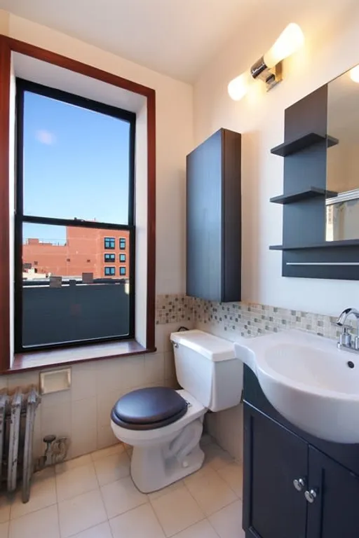 New York City Real Estate | View 251 Pacific Street, 23 | Bathroom | View 4