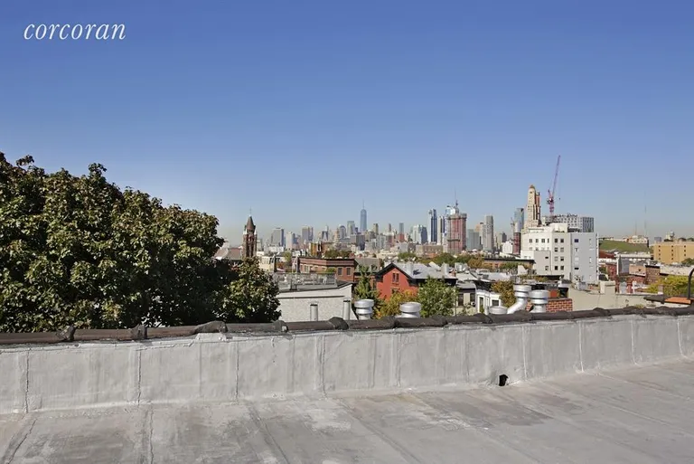 New York City Real Estate | View 164 Sterling Place, 1C | Roof Deck | View 8