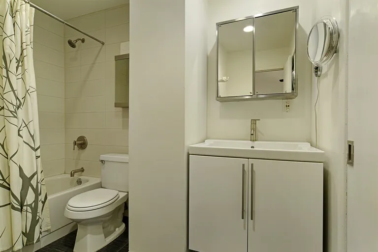 New York City Real Estate | View 443 12th Street, 4C | Bathroom | View 6