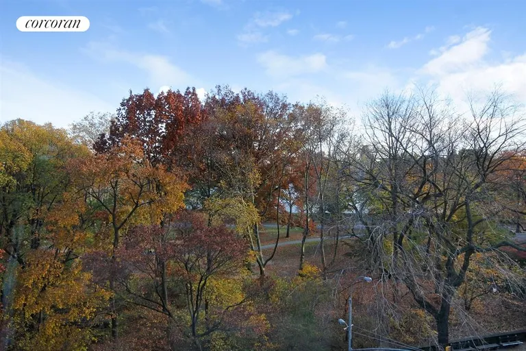 New York City Real Estate | View 322 Central Park West, 6B | View | View 11