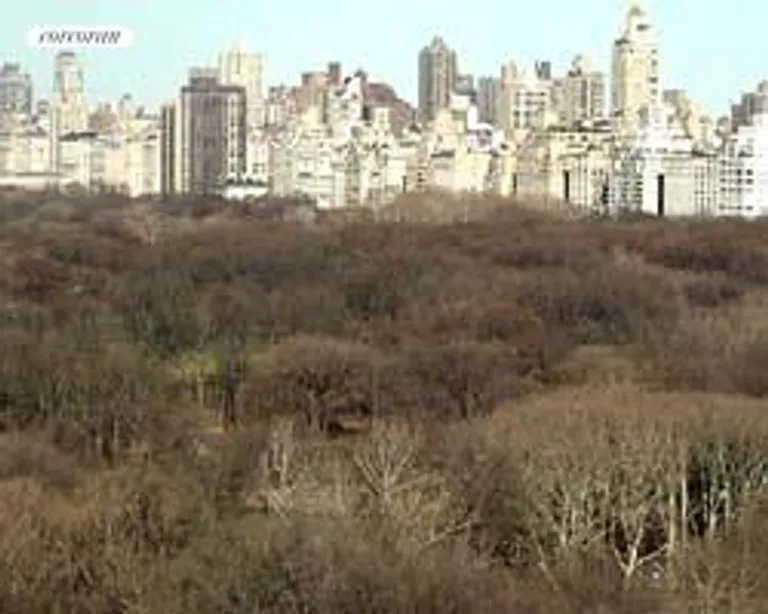 New York City Real Estate | View 240 Central Park South, 10J | room 12 | View 13