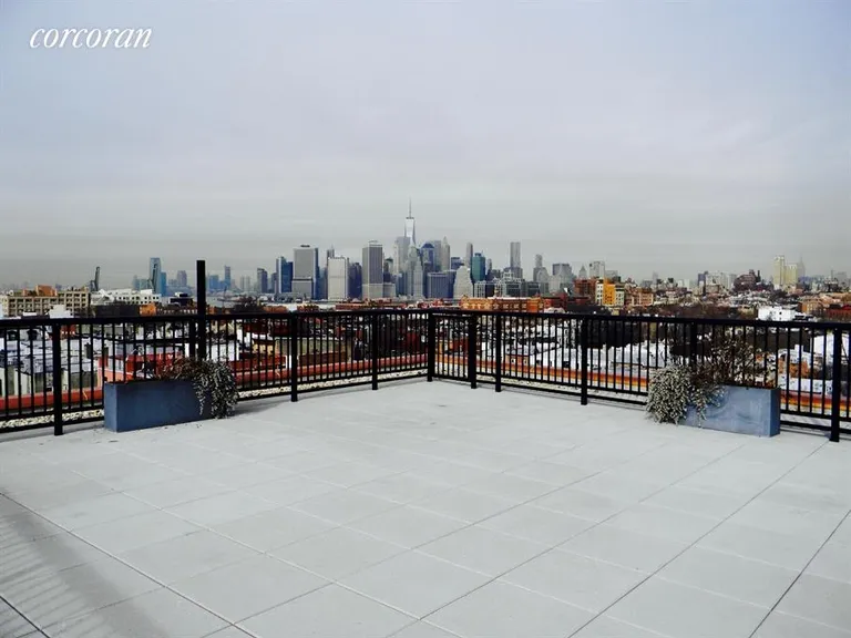 New York City Real Estate | View 291 Union Street, 3H | Gorgeous Common Roof Deck Faces N,S,E&W! | View 7