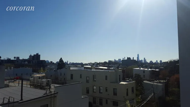 New York City Real Estate | View 106 Dupont Street | View from Apt. 3's private roof deck | View 6