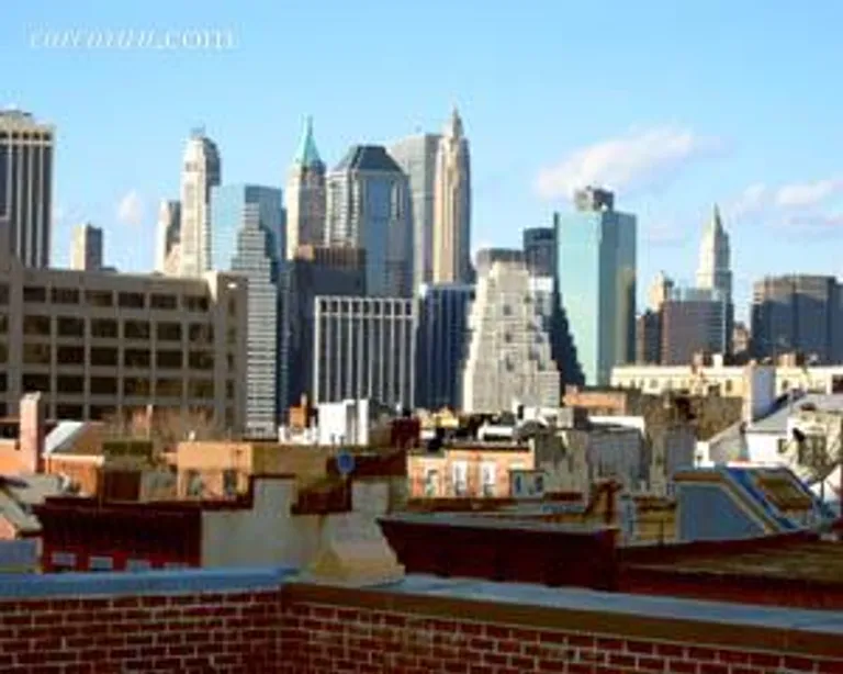 New York City Real Estate | View 100 Atlantic Avenue, 3Q | View from Roof Deck | View 6