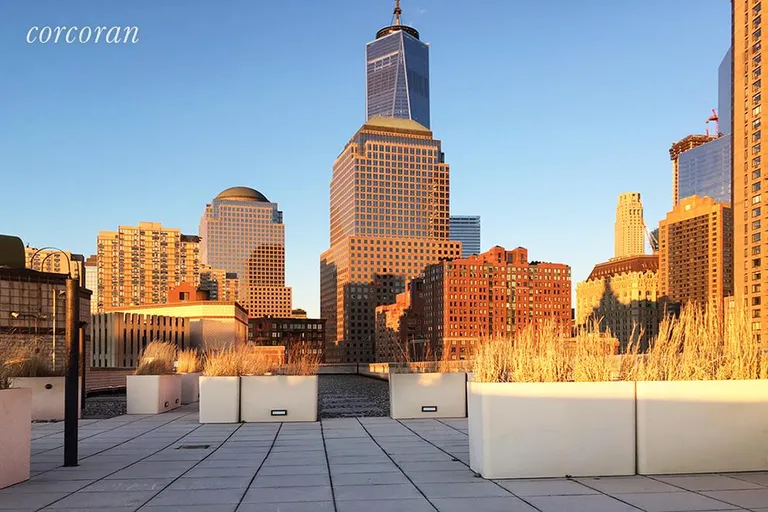 New York City Real Estate | View 21 South End Avenue, 334 | Roof Top Deck | View 12