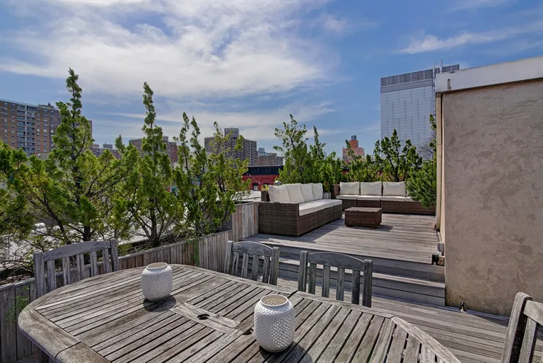 New York City Real Estate | View 319 East 6th Street | Roof Deck | View 10