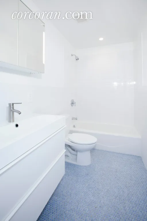 New York City Real Estate | View 437 Prospect Place, 1 | Master Bathroom | View 4