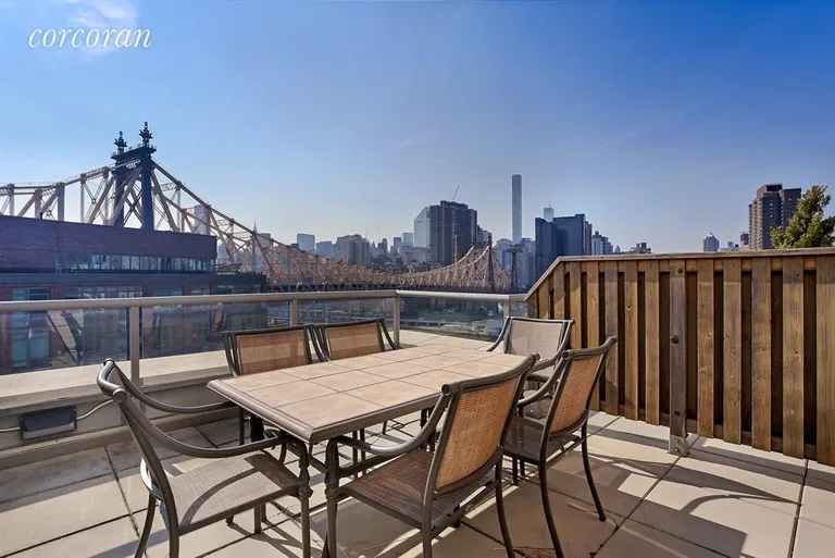 New York City Real Estate | View 415 Main Street, 9G | Roof Deck | View 7