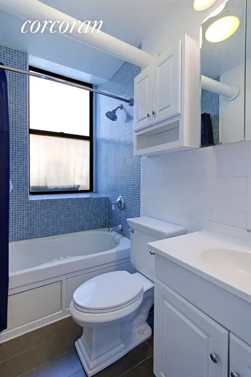 New York City Real Estate | View 255 Eastern Parkway, G12 | Bathroom | View 5