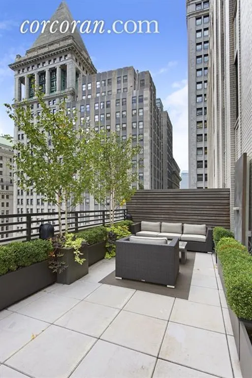 New York City Real Estate | View 20 Pine Street, 1902 | South & West facing terrace, perfect entertaining. | View 3