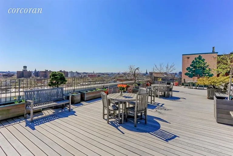 New York City Real Estate | View 423 Atlantic Avenue, 4P | Roof Deck | View 10