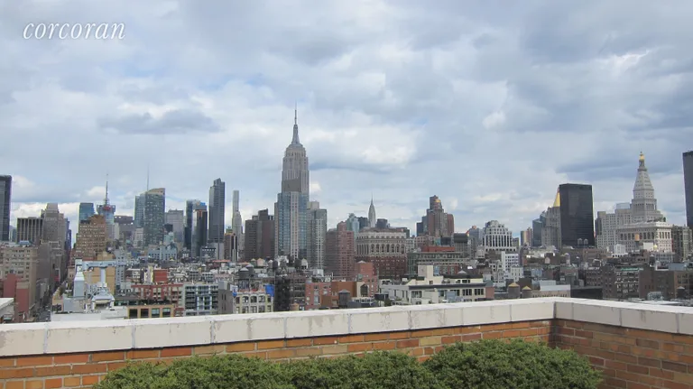 New York City Real Estate | View 161 West 16th Street, 9B | roof top view | View 6