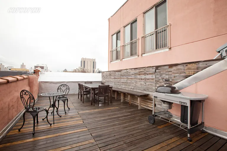 New York City Real Estate | View 121 West 131st Street, 4 | Amazing common roof deck area | View 6