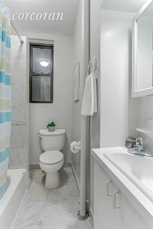 New York City Real Estate | View 705 Carroll Street, 1L | Bathroom | View 9