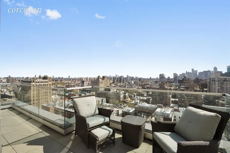 New York City Real Estate | View 123 Third Avenue, 17A | Terrace | View 6