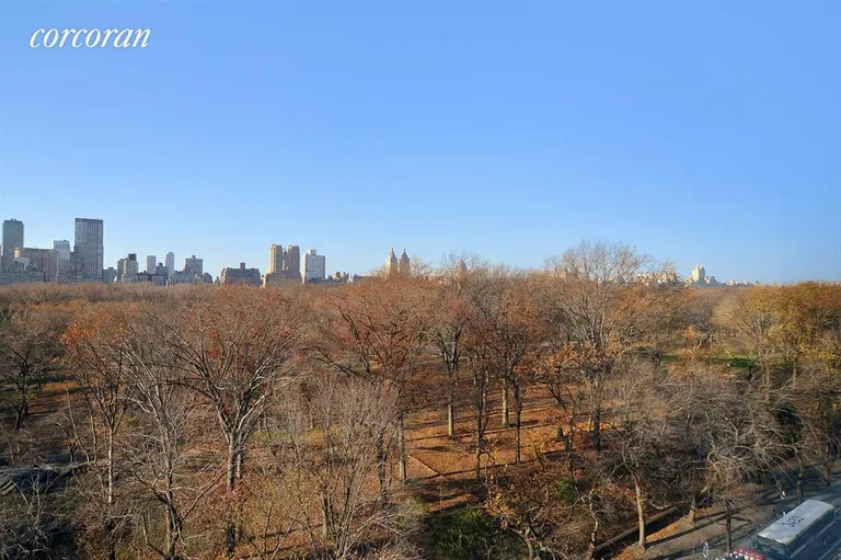 New York City Real Estate | View 860 Fifth Avenue, 11C | View | View 6