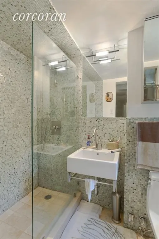 New York City Real Estate | View 160 Columbia Heights, 2C | Bathroom | View 4