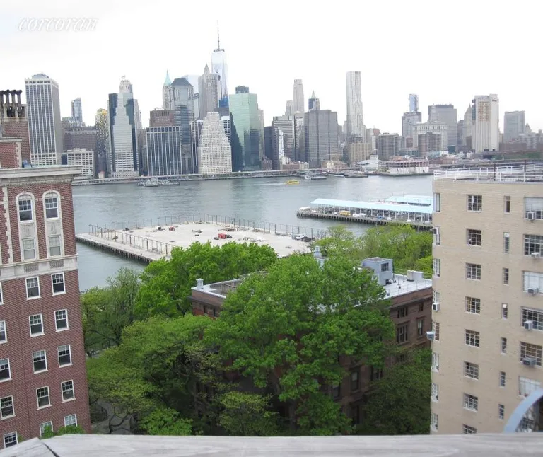 New York City Real Estate | View 62 Montague Street, 8D | Manhattan Skyline Views from Common Roof Deck | View 5