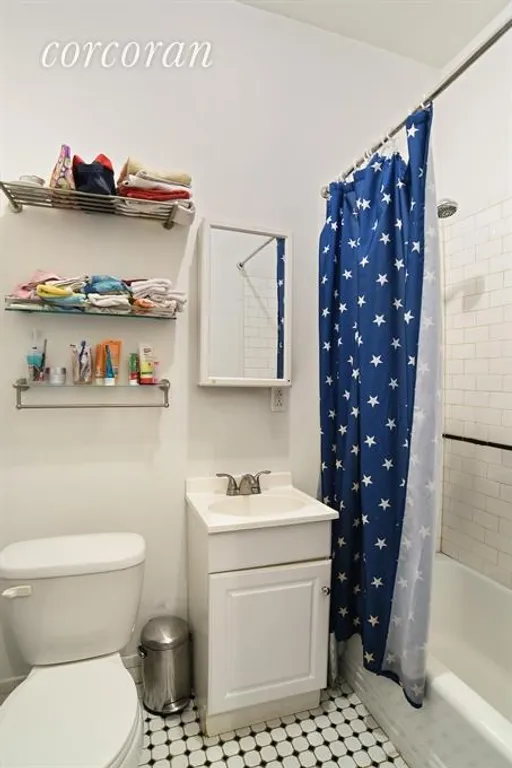 New York City Real Estate | View 211 Prospect Place, 3 | Bathroom | View 5