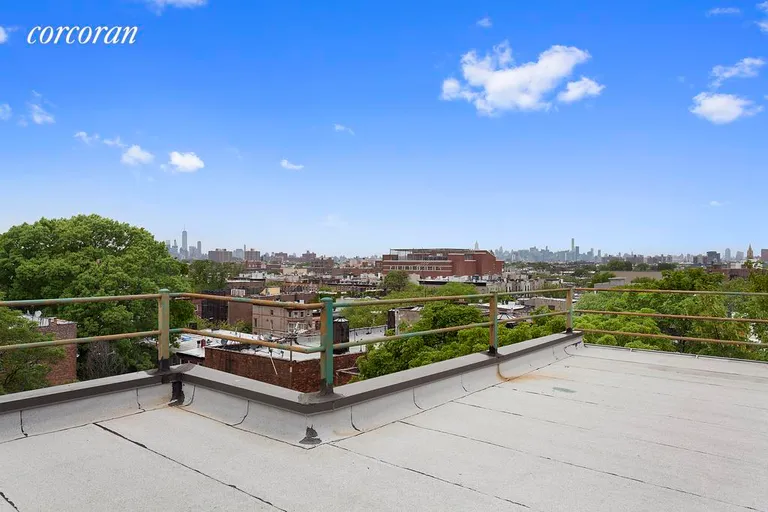 New York City Real Estate | View 943 Saint Marks Avenue, 5C | Shared Roof Terrace with Sweeping Skyline Views | View 5