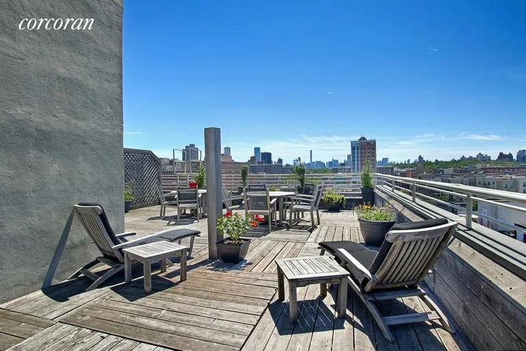 New York City Real Estate | View 100 West 119th Street, 2B | Rooftop Deck | View 9