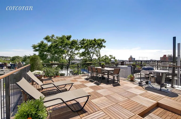 New York City Real Estate | View 656 Carroll Street, 4R | Exclusive Roof Rights/Finished Deck | View 8