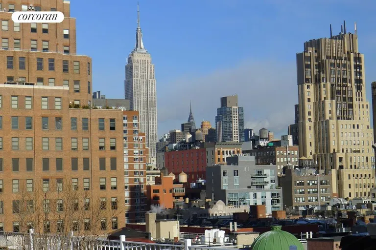 New York City Real Estate | View 321 West 13th Street, 5B | Roofdeck view | View 8