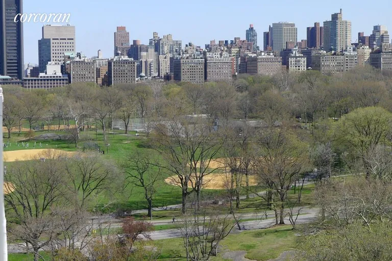 New York City Real Estate | View 400 Central Park West, 16M | Gotta have park! | View 6