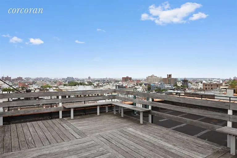 New York City Real Estate | View 115 Eastern Parkway, 3D | Roof Deck | View 5