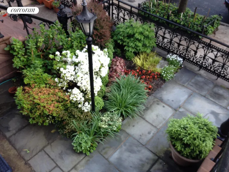New York City Real Estate | View 428 8th Street | Front Garden Plantings | View 15
