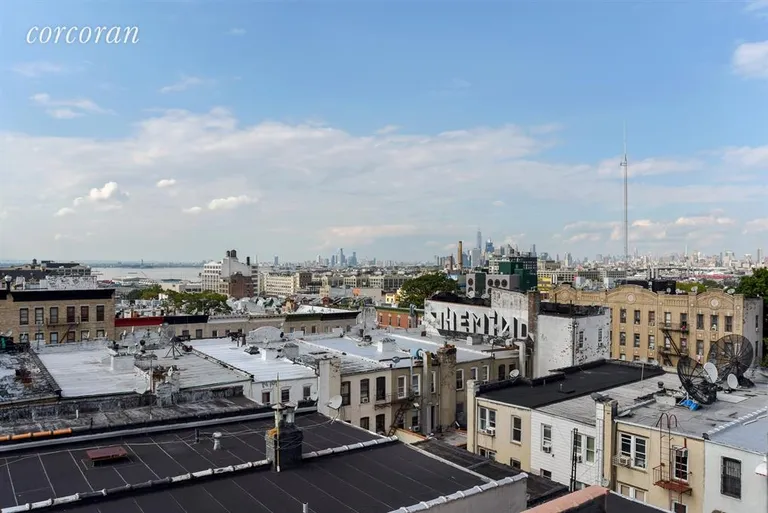 New York City Real Estate | View 521 41st Street, D2 | View | View 6