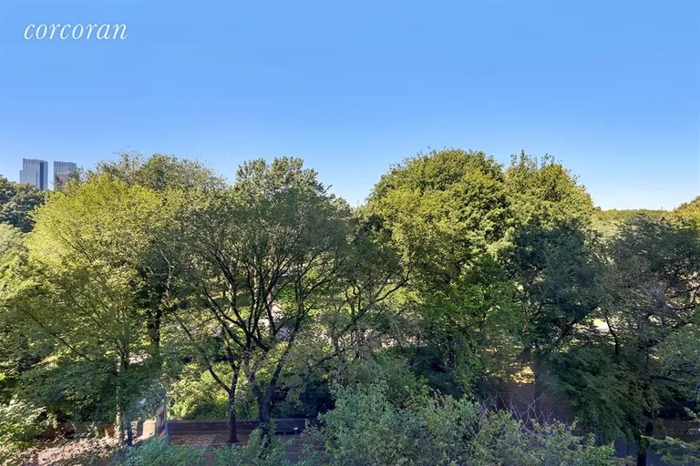 New York City Real Estate | View 880 Fifth Avenue, 7C | Park View from Sitting Area | View 4
