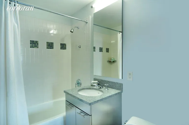New York City Real Estate | View 230 Ashland Place, 11D | Second Bathroom | View 7